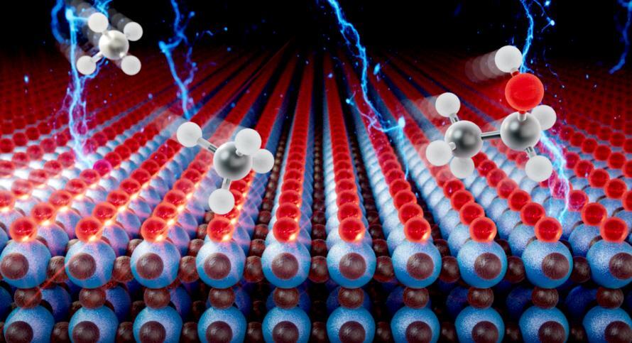 Electrocatalytic surface reaction